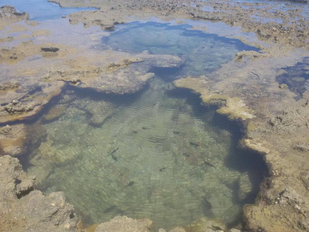 Pousada Recanto Da Enseada Cabo de Santo Agostinho Exterior foto